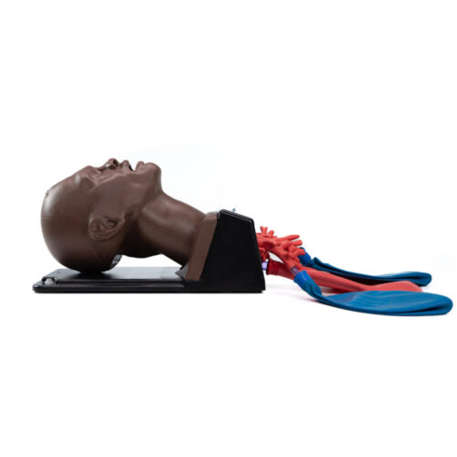Cabeza de intubacion AirSim Advance X tono de piel oscuro marca Trucorp