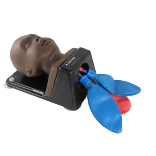 Cabeza de intubación - AirSim Bebé X marca Trucorp