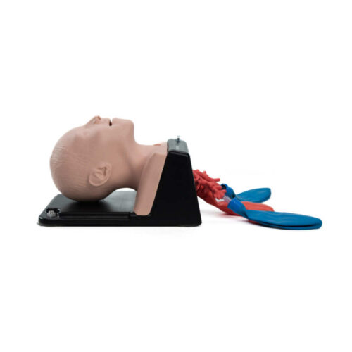 Cabeza de intubación - AirSim Niño X marca Trucorp