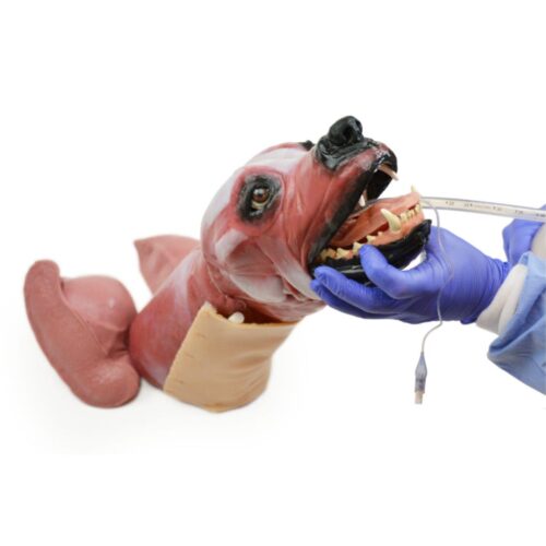 Lateral Cabeza de intubación canina Marca Syndaver