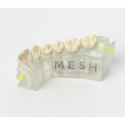 HEMI cuadrante completo