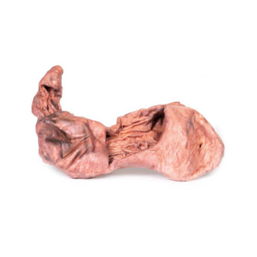 Estómago uno marca erler zimmer