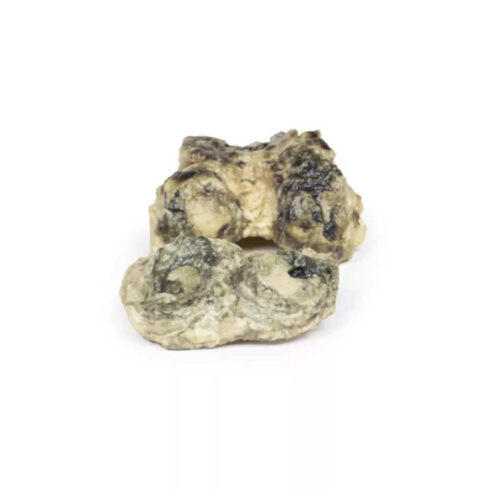 artritis supurativa de rodilla marca erler zimmer