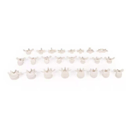 Columna vertebral suelta sobre goma marca erler zimmer