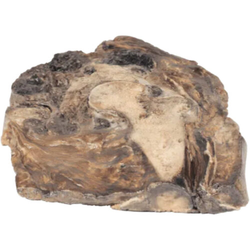 condrosarcoma de fémur e ilion uno marca erler zimmer