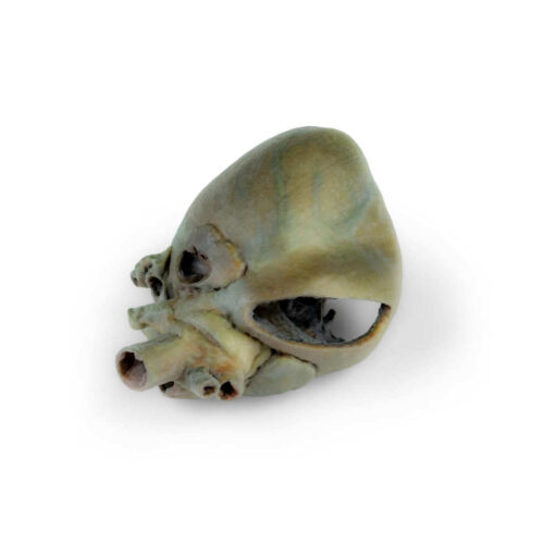 corazón canino con disección uno marca erler zimmer