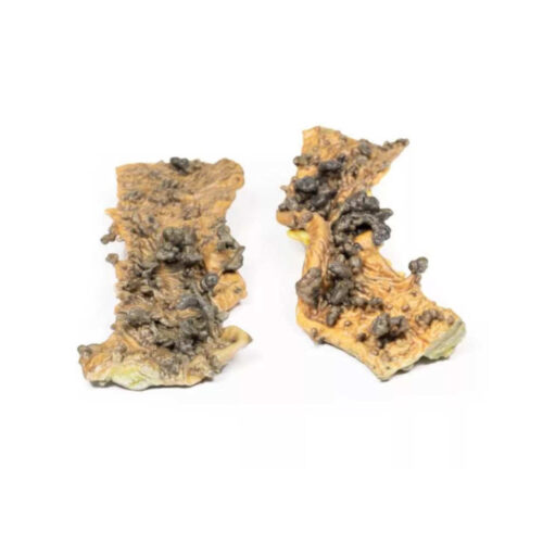 Poliposis Coli Múltiple uno marca erler zimmer