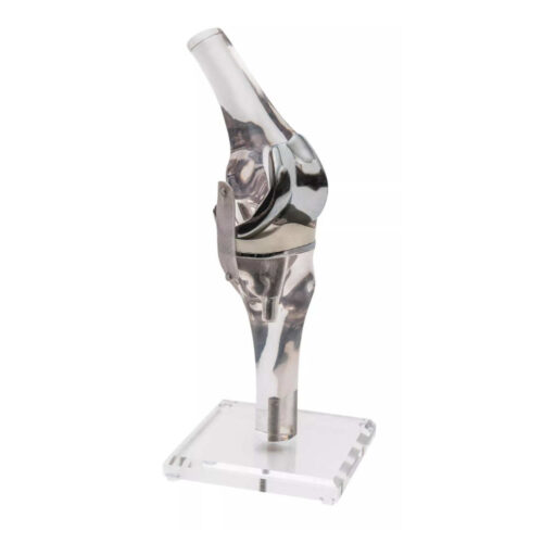 Modelo de rodilla con endoprótesis uno marca erler zimmer