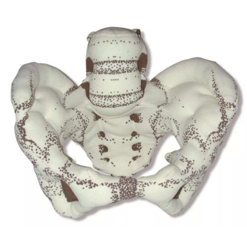 Pelvis de tela marca erler zimmer
