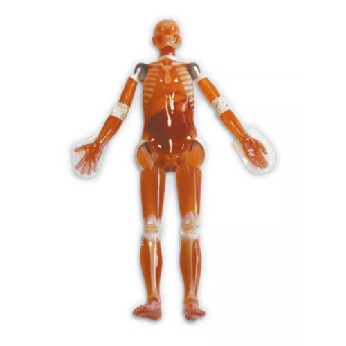 Fantoma de tomografía computarizada de cuerpo entero marca erler zimmer