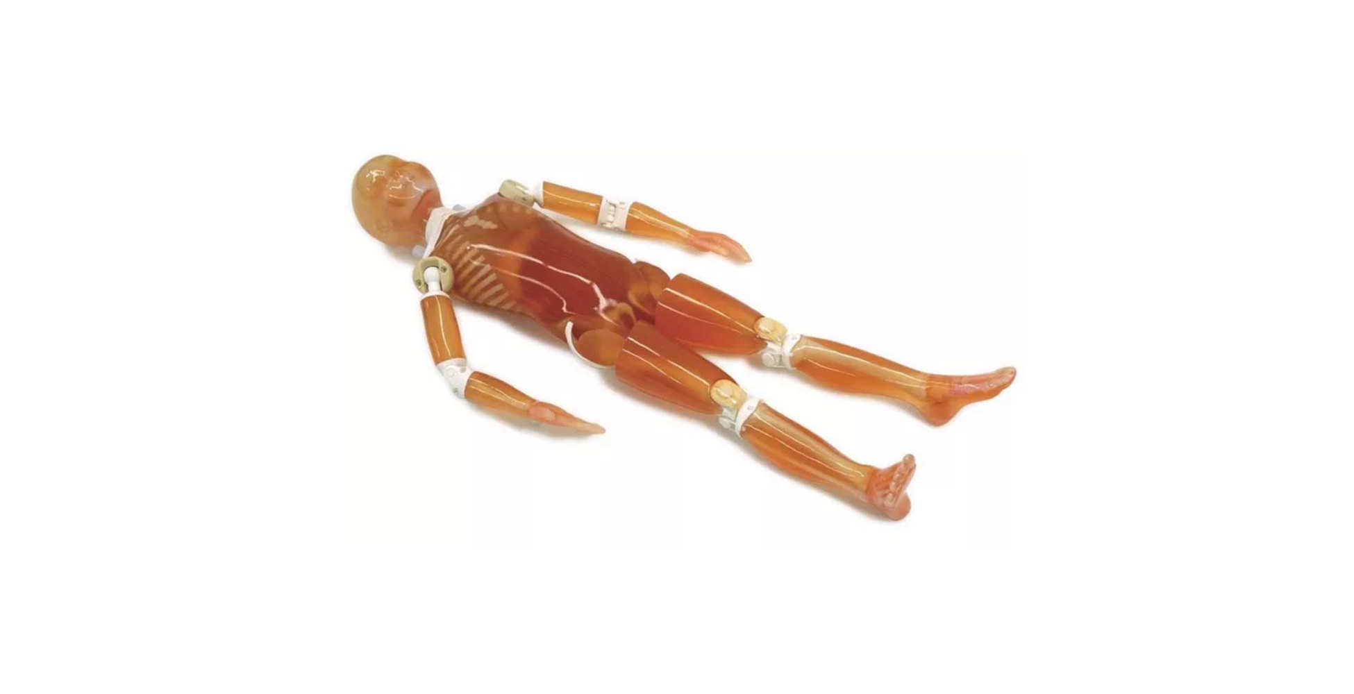 Fantoma pediátrico de cuerpo completo marca erler zimmer