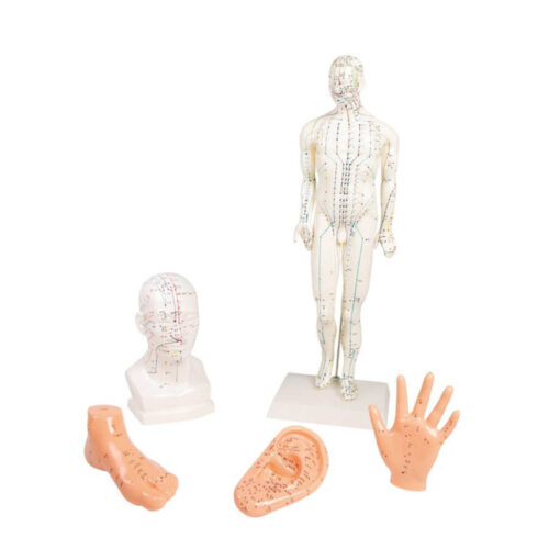 Juego de acupuntura china 5 modelos marca erler zimmer