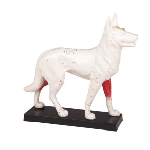 Perro de acupuntura marca erler zimmer