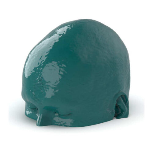 Simulador de ictus y hemorragia cerebral para TC marca erler zimmer