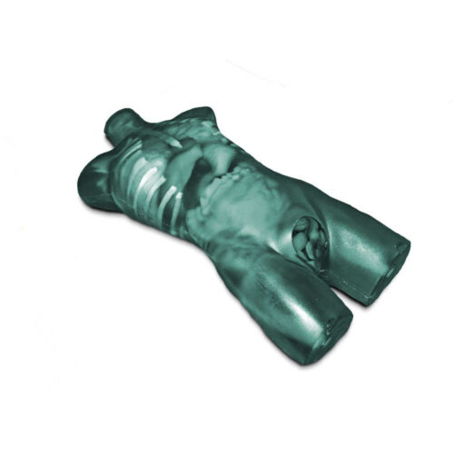 Torso para adultos compatible con rayos X marca erler zimmer